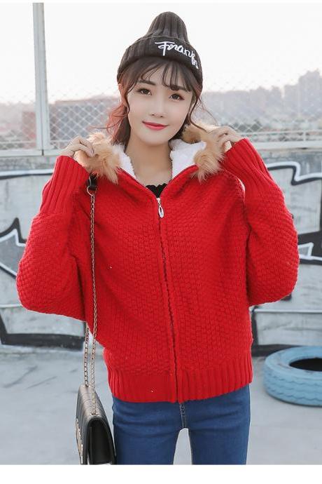 Long Sleeve Hooded Cardigan Sweater Coat